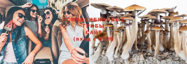 apvp Белокуриха