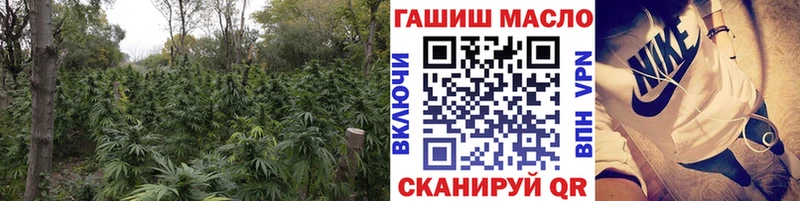 ссылка на мегу ссылка  дарк нет как зайти  Дистиллят ТГК вейп  Закаменск 
