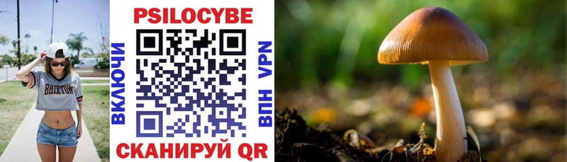 наркота  Закаменск  Галлюциногенные грибы Psilocybe 